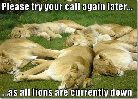 As All Lion Are Currently Down Funny Lion Caption