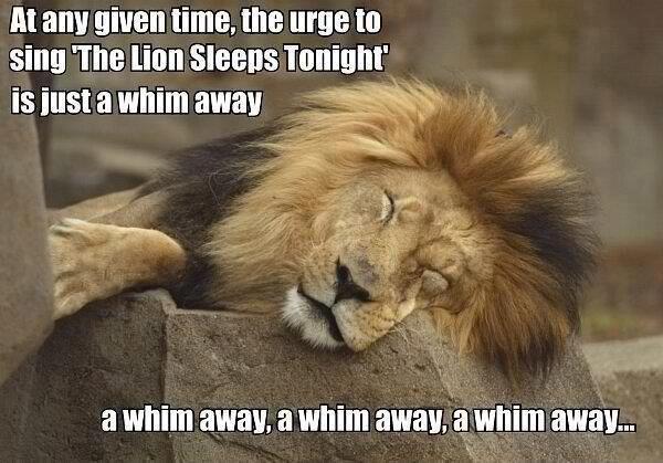 At Any Given Time The Urge To Sing Funny Lion Meme