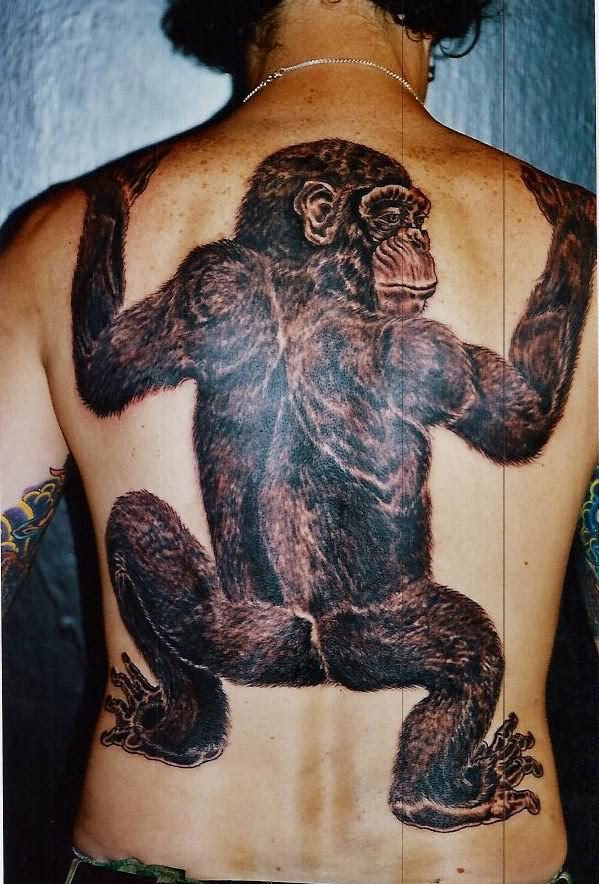 Black And Grey Hanging Gorilla Tattoo On Man Full Back