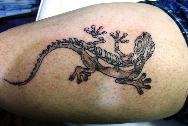 Black And Grey Lizard Skeleton Tattoo Design