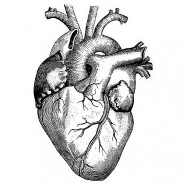 4 Real Heart Tattoo Design Ideas