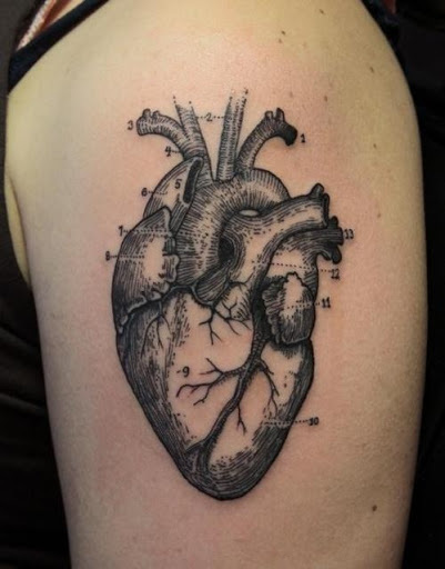 Black And Grey Real Heart Tattoo On Man Shoulder