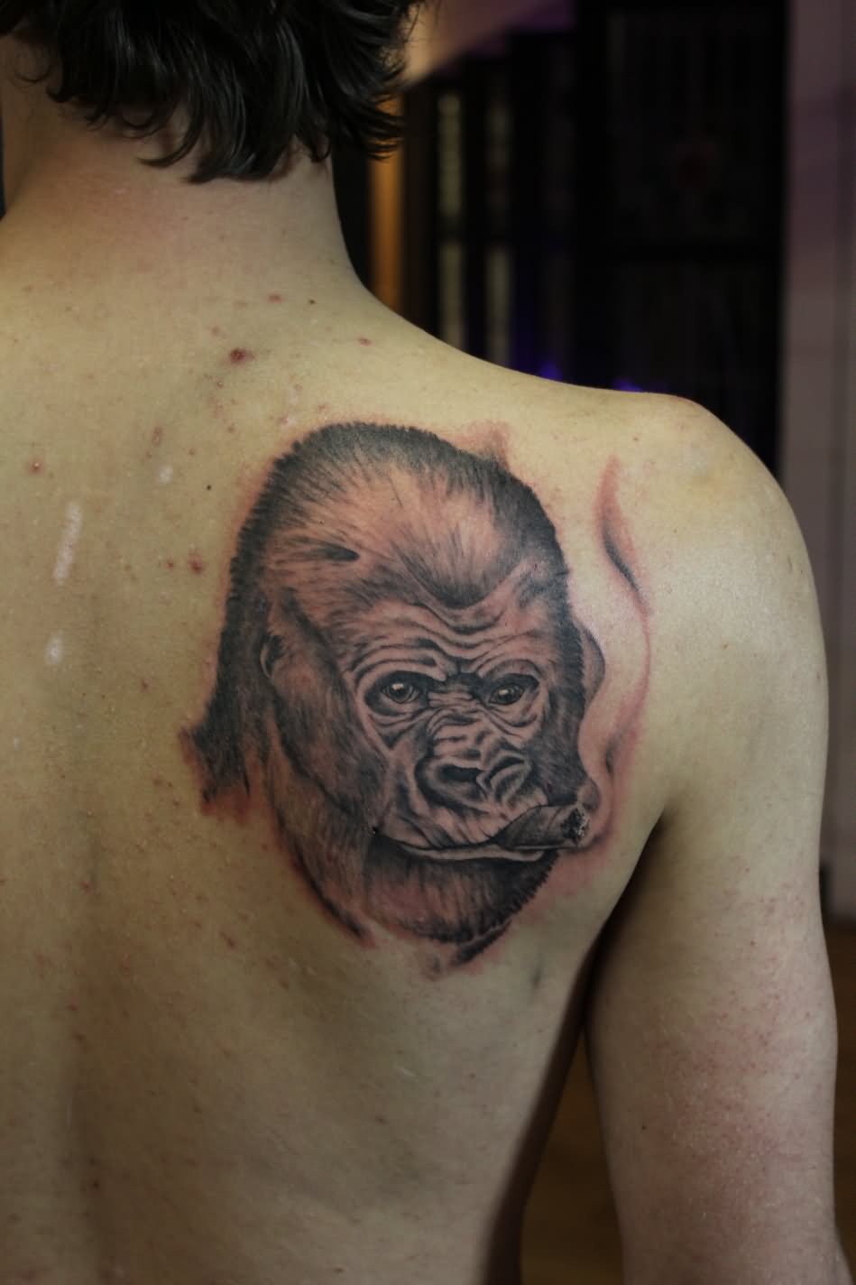 Black And Grey Smoking Gorilla Head Tattoo On Man Right Back Shoulder