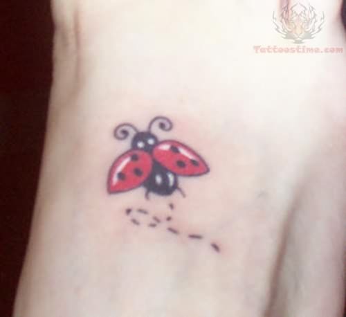 Black And Red Flying Ladybird Tattoo Design