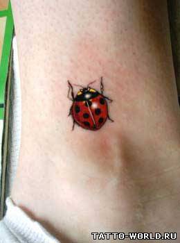 Black And Red Ladybird Tattoo Design
