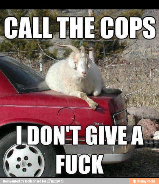 Call The Cops Funny Goat Meme
