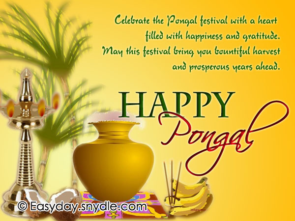 Celebrate The Pongal Festival With A Heart Filled With Happiness And Gratitude Happy Pongal