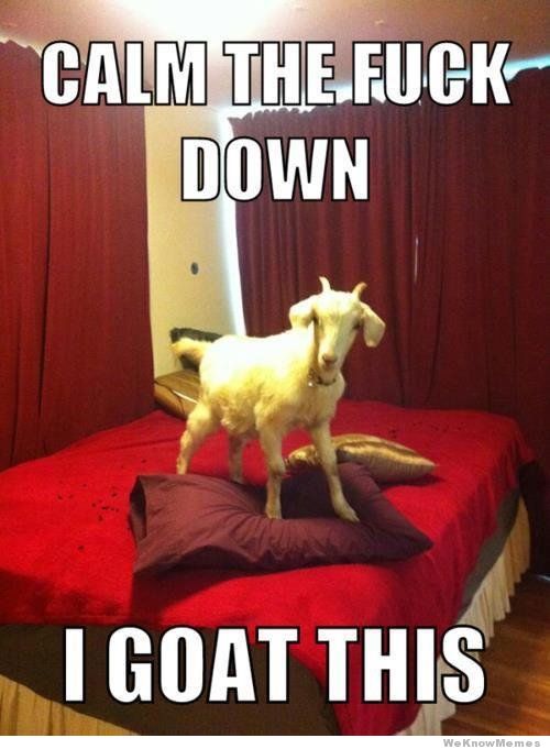 Clam The Fuck Down Funny Goat Meme