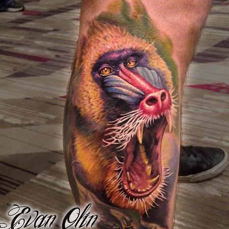 Colorful 3D Baboon Head Tattoo Design For Forearm By Evan Olin