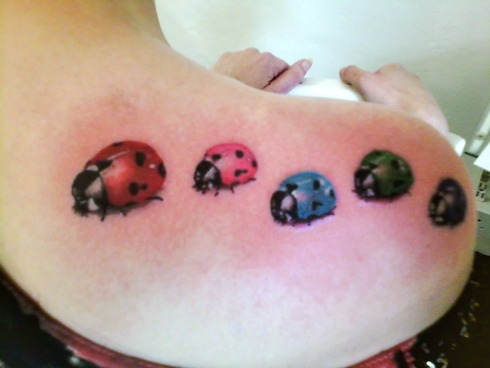 Colorful Five Ladybirds Tattoo On Shoulder