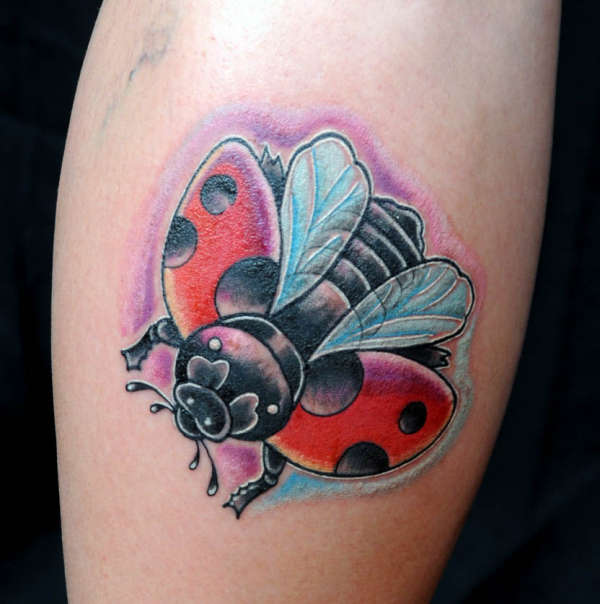 Colorful Flying Ladybird Tattoo Design By Paul Nolin