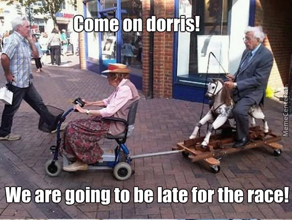 Come On Dorris Funny Horse Meme
