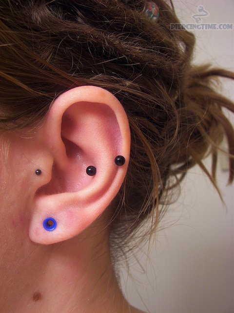 Cute Lobe And Snug Piercing With Black Barbell On Left Ear