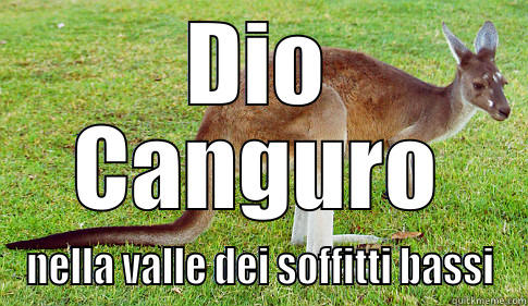 Dio Canguro Nella Valle Die Soffitti Bassi Funny Kangaroo Meme