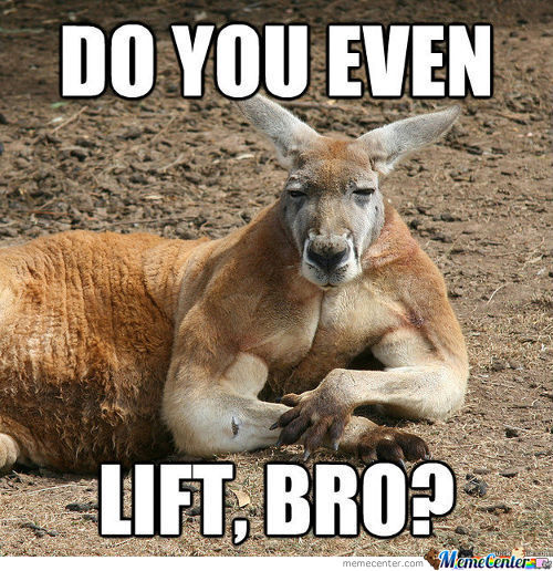Do You Even Funny Kangaroo Meme
