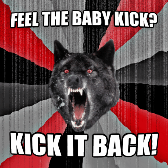 Feel The Baby Kick Kick It Back Funny Wolf Meme