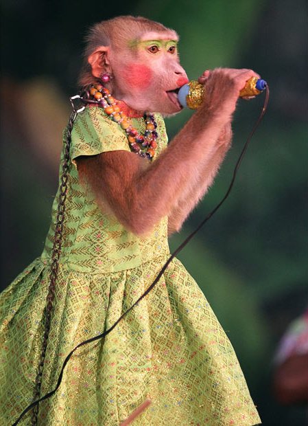 Female Singer Funny Monkey