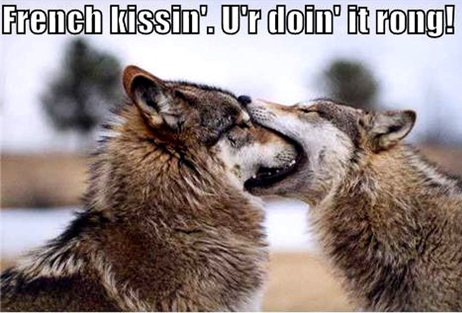 French Kissin Ur Doin It Rong Funny Wolf Caption
