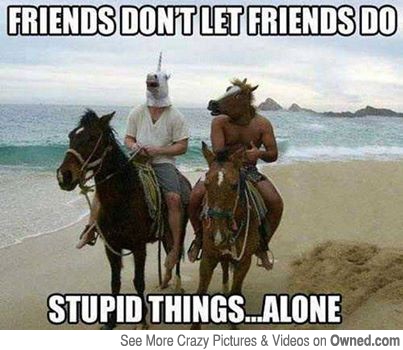 Friends Don't Let Friends Do Funny Horse Meme