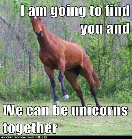 Funny Horse Pictures With Caption