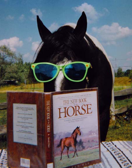Funny Horse Reading Book