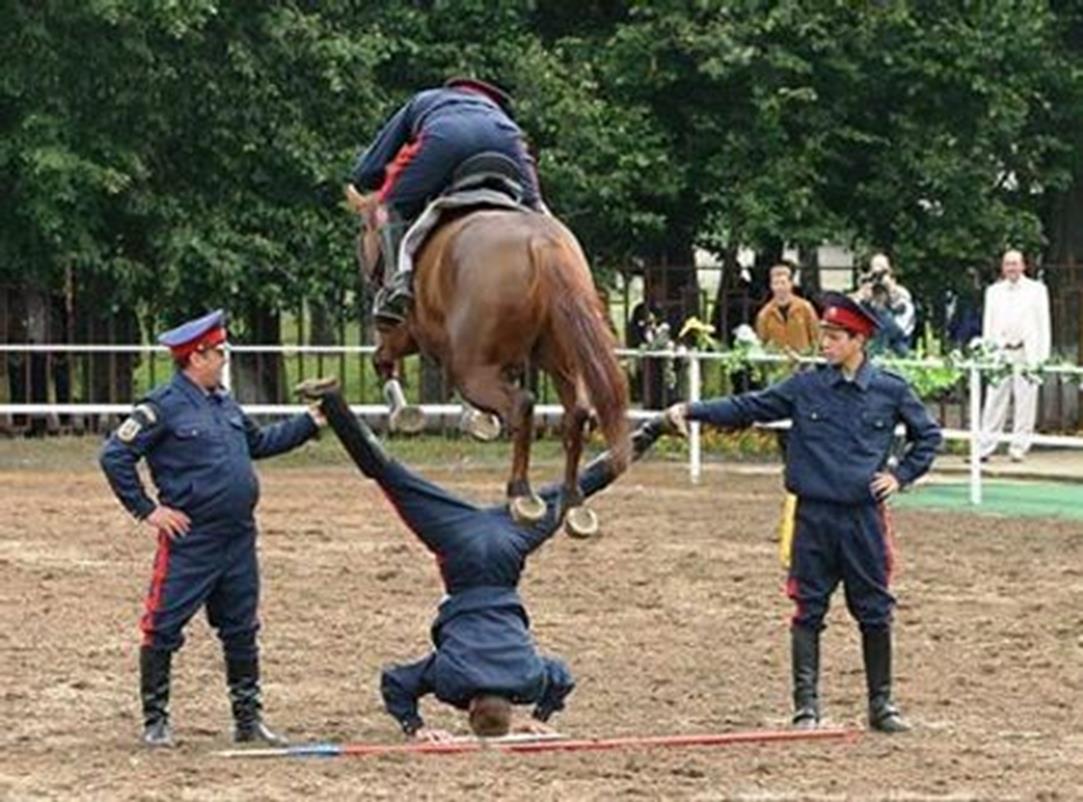 Funny Horse Stunt Picture