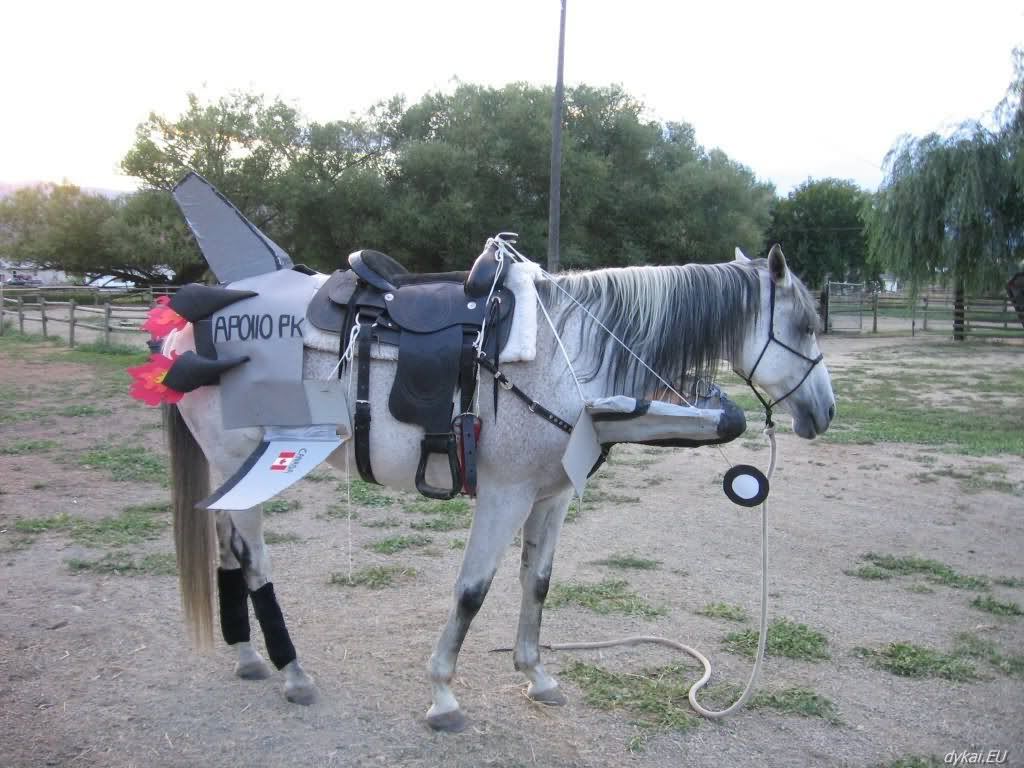 Funny Horse With Plane Costume