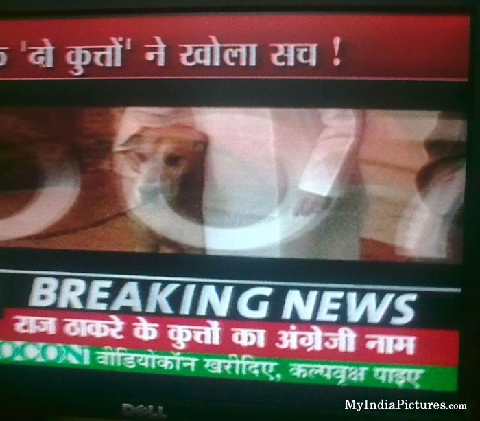 Funny Indian TV News Hindi