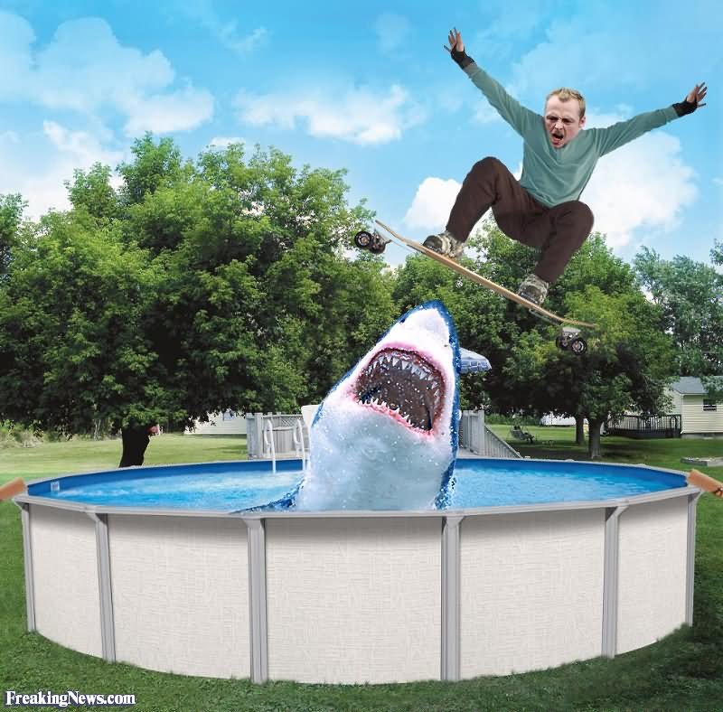 Funny Jumping The Shark On A Skateboarding