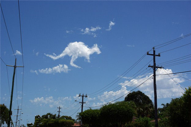 Funny Kangaroo Cloud