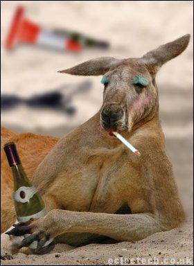 Funny Kangaroo Smoking And Drinking