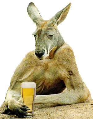 Funny Kangaroo With A Glass Of Beer
