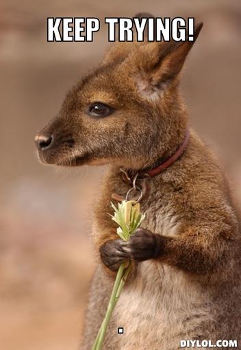 Funny Kangaroo With Flower
