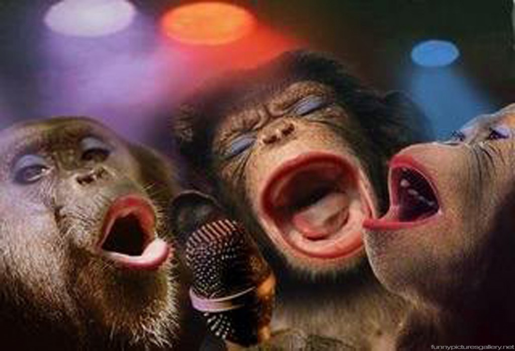 Funny Monkeys Singing Song