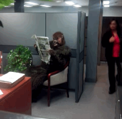 Funny Office Gif