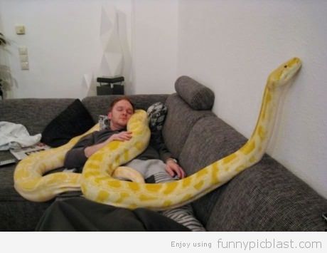 Funny People With Snake