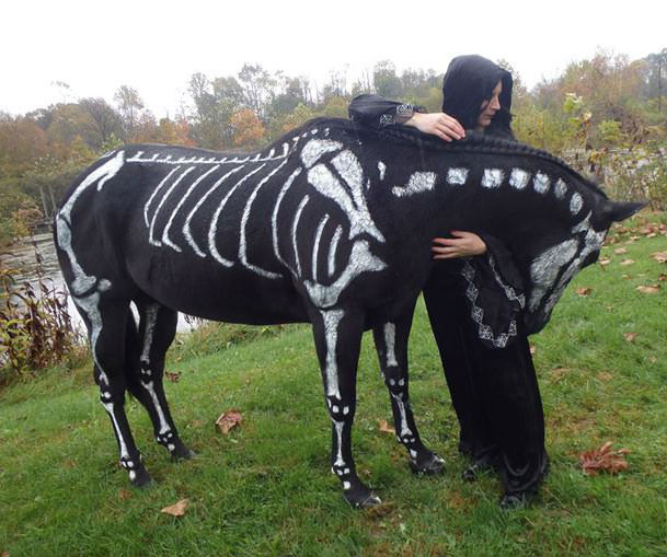 Funny Skeleton Horse