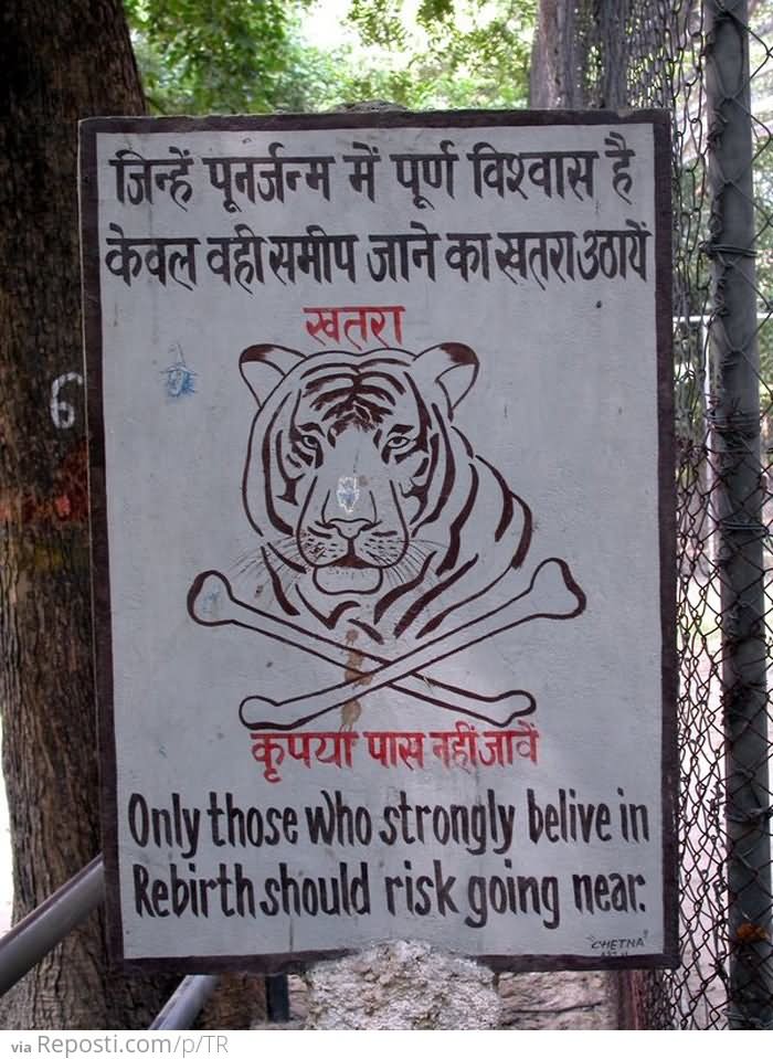 Funny Tiger Caution India
