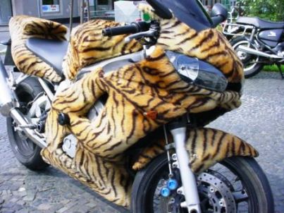 Funny Tiger Shade Bike