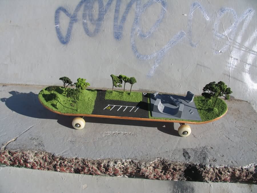 Garden On Skateboard Funny Picture