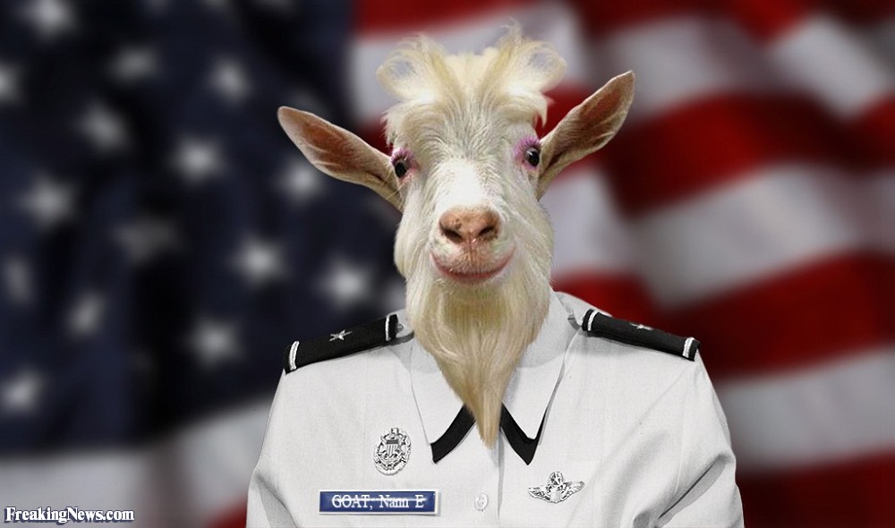 General Nann E Goat Funny Photo