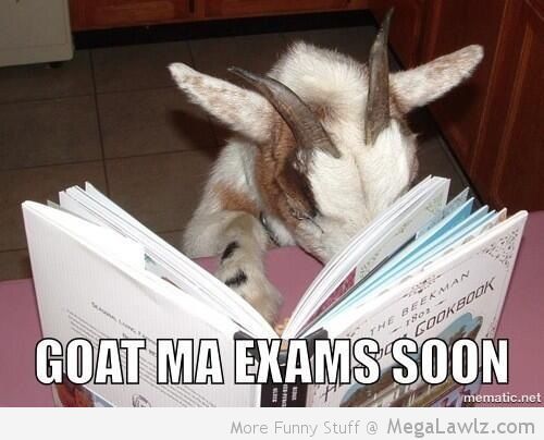 Goat Ma Exams Soon Funny Caption