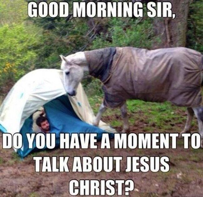 Good Morning Sir Funny Horse Meme