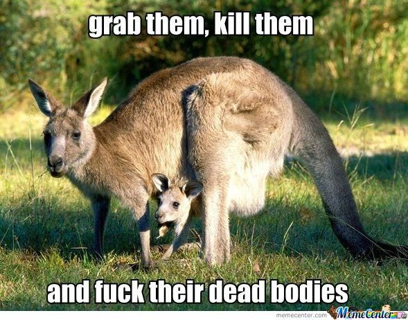Grab Them Kill Them And Fuck Their Dead Bodies Funny Kangaroo Meme