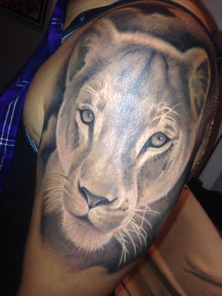 Grey And White Lioness Head Tattoo Shoulder
