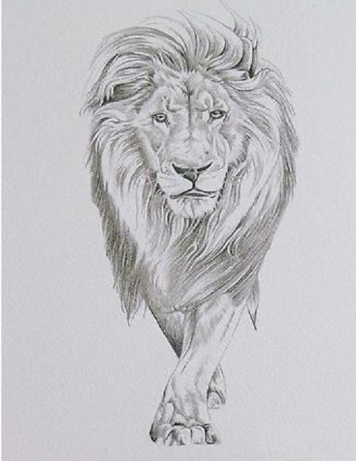 Grey Lioness Tattoo Design