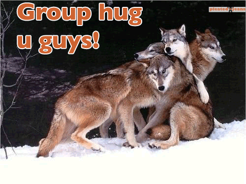 Group Hug U Guys Funny Wolves Picture