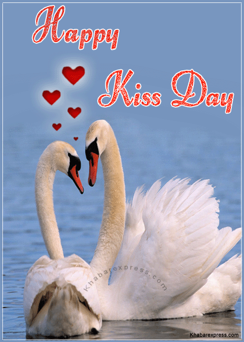 Happy Kiss Day Loving Swans Animated Pictures