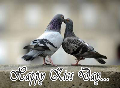 Happy Kiss Day Pigeons Love Birds Picture