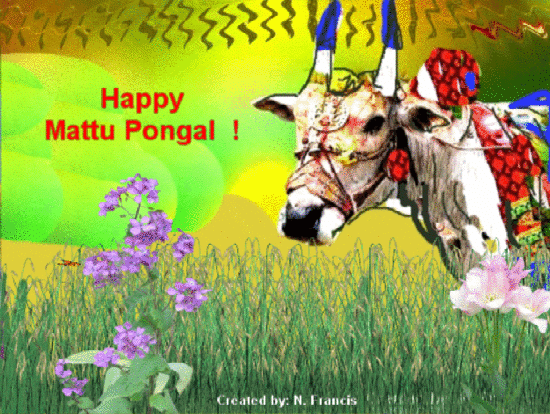 Happy Mattu Pongal Greetings